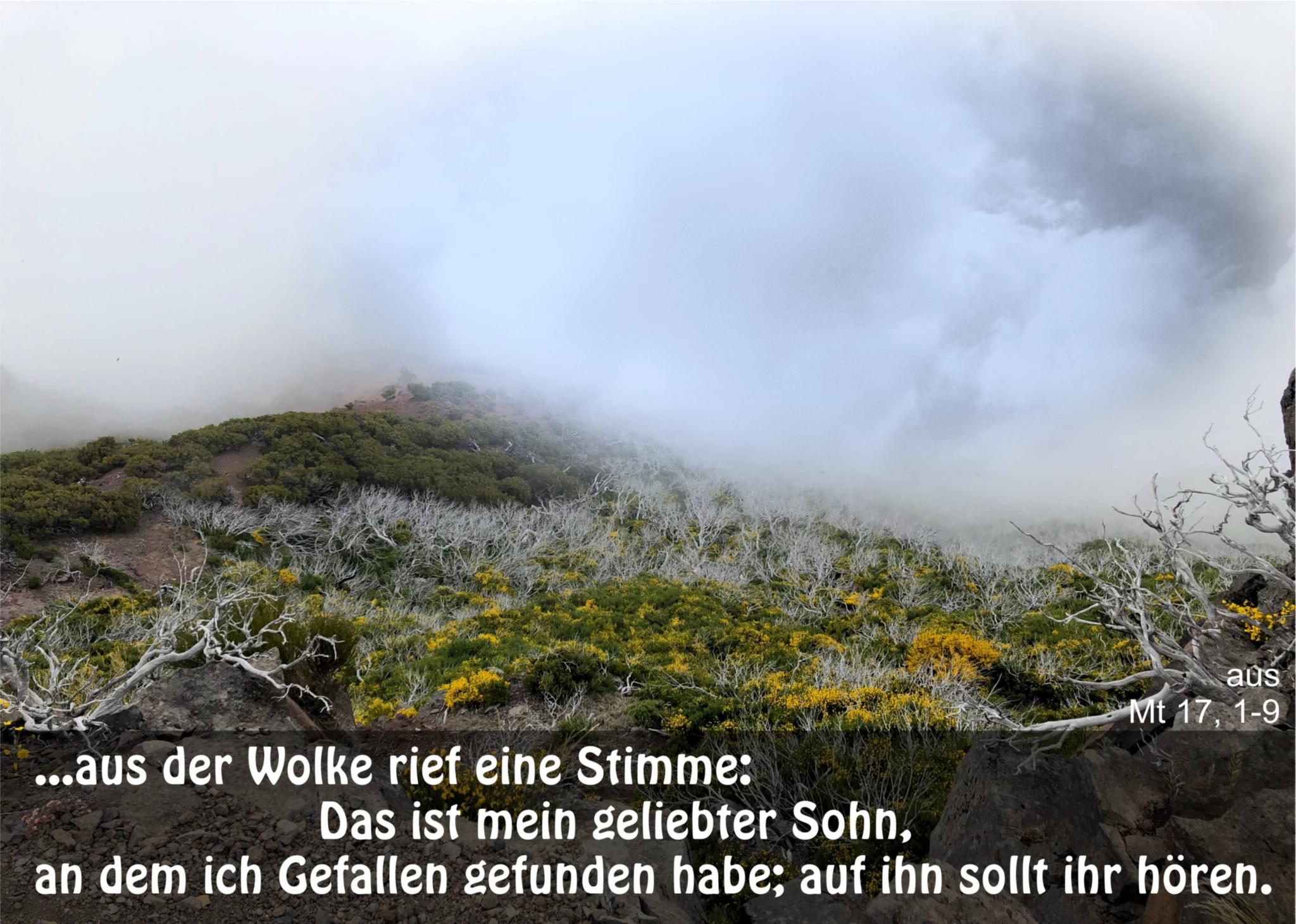MT 17.1-9 Verklärung