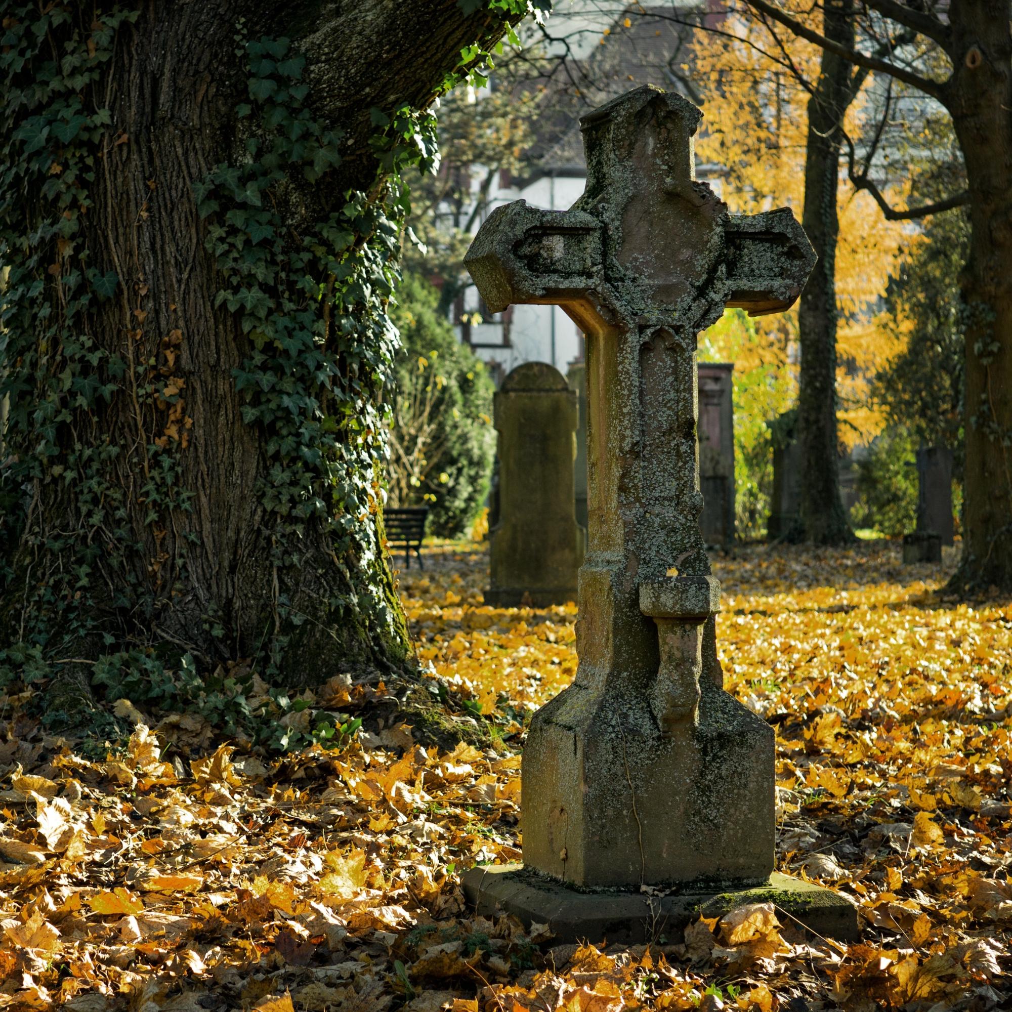 Friedhof