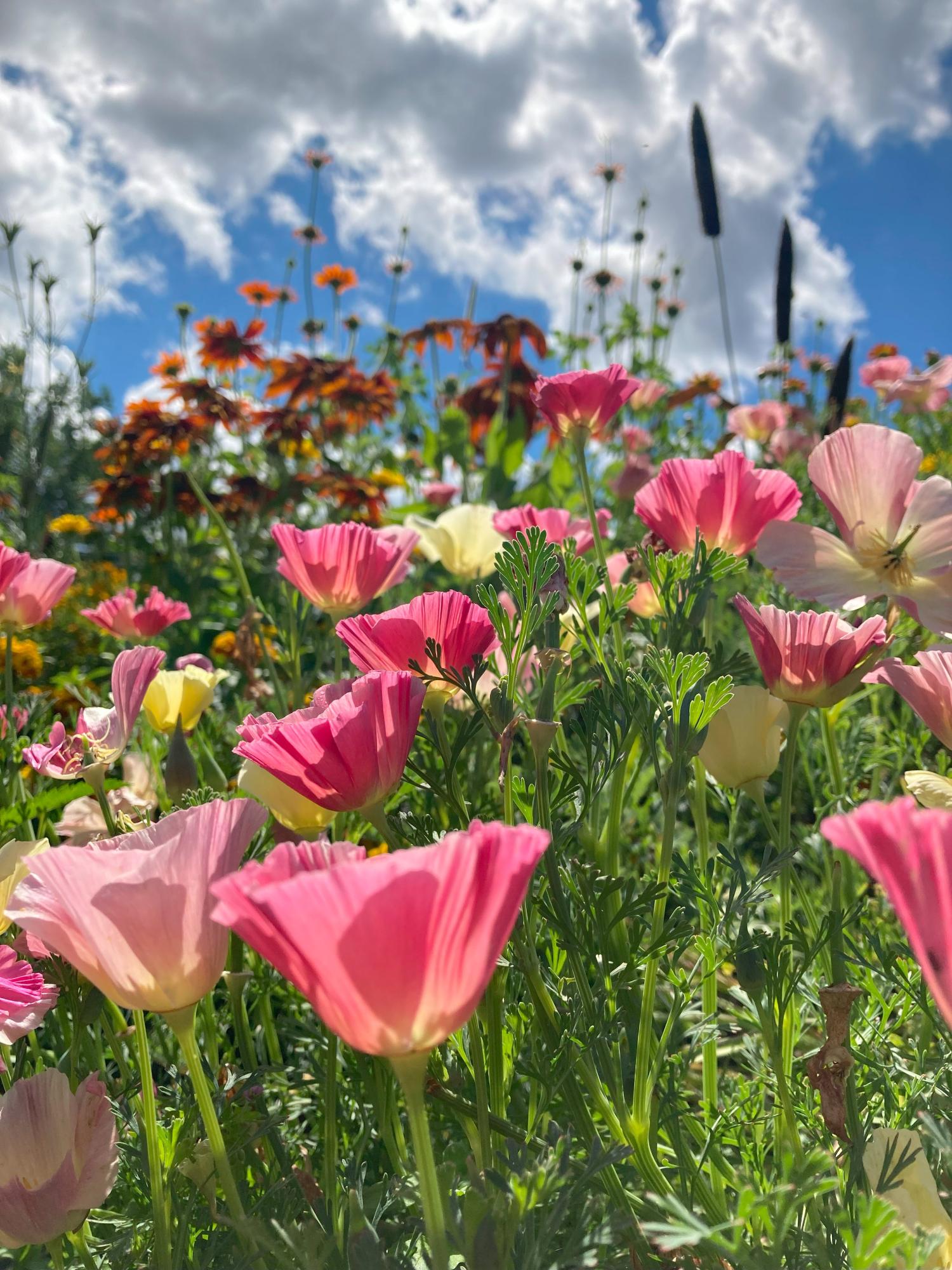 Frühling