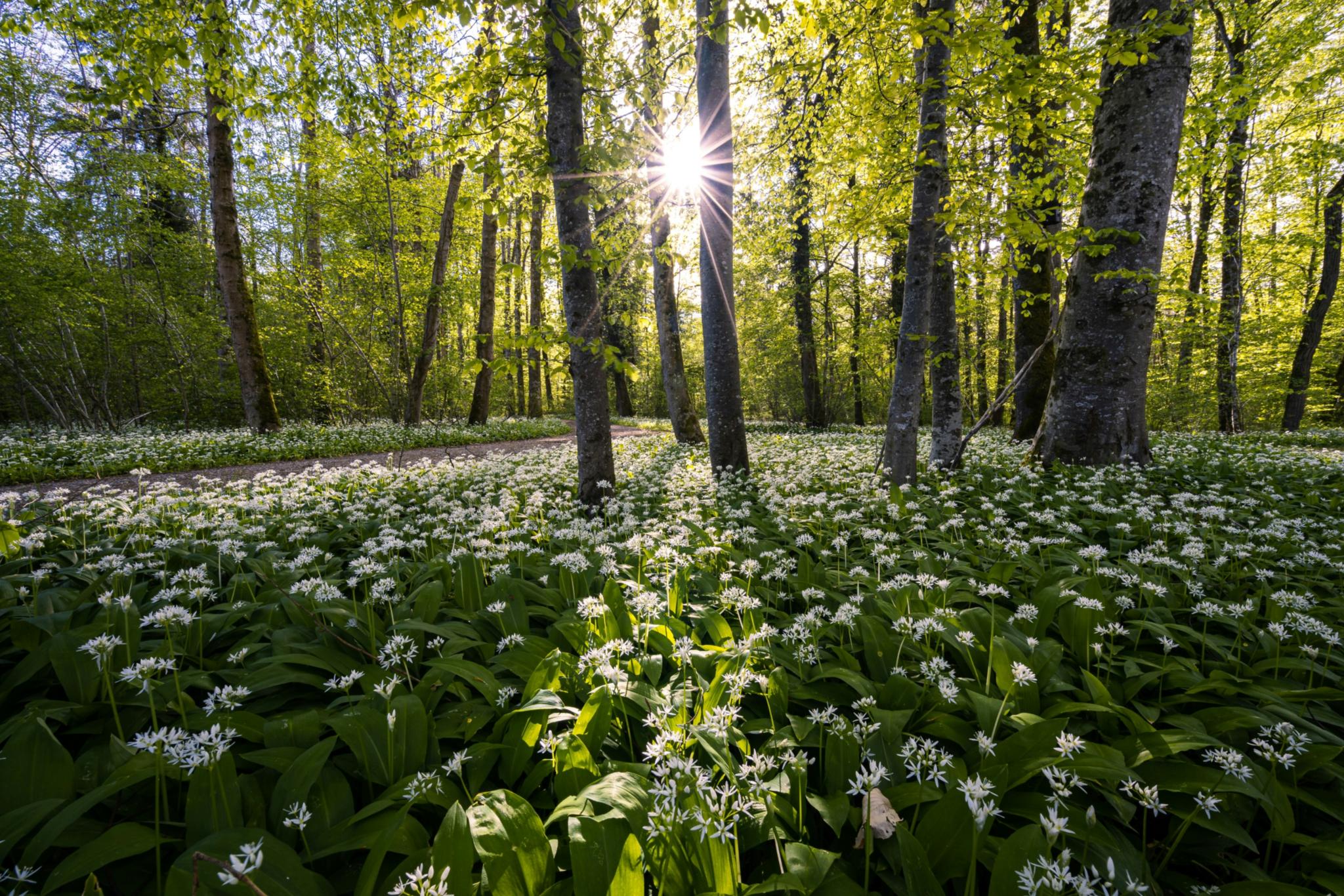 Foto von  Pascal Debrunner
